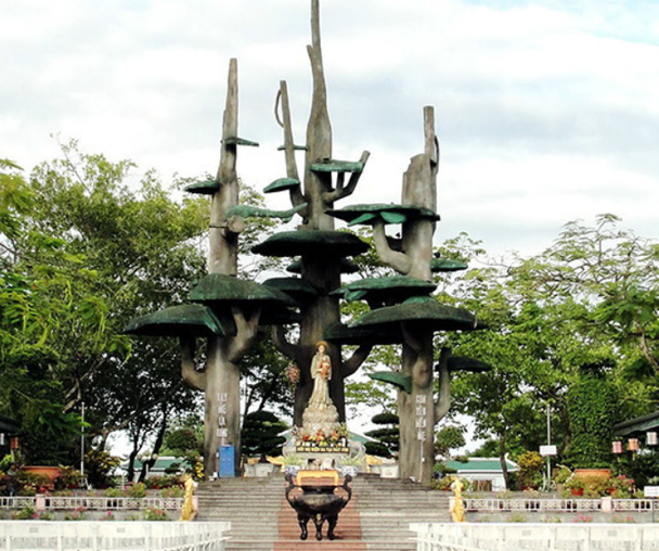 activity_detail_image