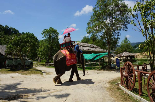 푸켓 시티 단독 투어 (공항 샌딩 포함)