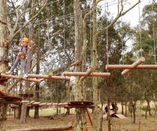 activity_detail_image