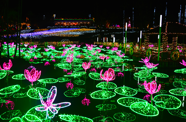 沖縄 東南植物楽園 ナイトイルミネーション 入場チケット