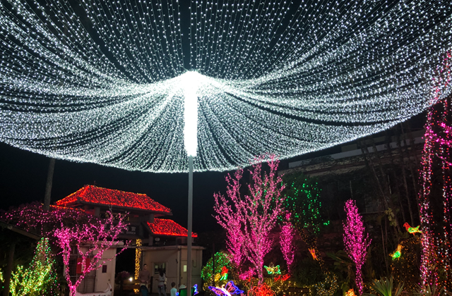 沖縄 東南植物楽園 ナイトイルミネーション 入場チケット