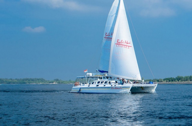 バリ・アリストキャットクルーズ