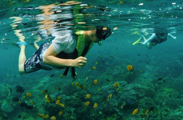 バリ・アリストキャットクルーズ