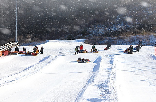 강원 오투리조트 25/26 눈썰매장 입장권