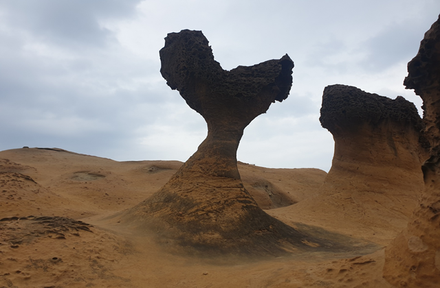 [홍봉투어] 대만 예스폭지 야경 버스투어