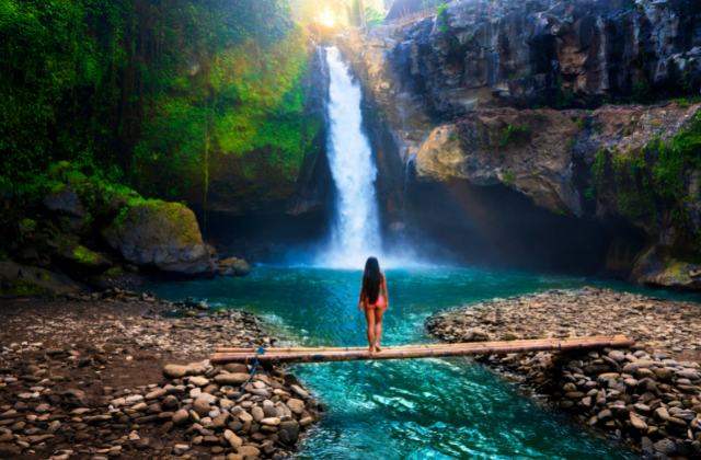 Bali: Ubud Essential Private Tour