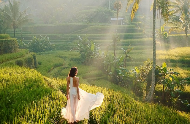 Bali: Ubud Essential Private Tour