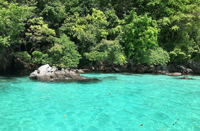 푸켓 카이섬 제도 3섬 반나절 투어