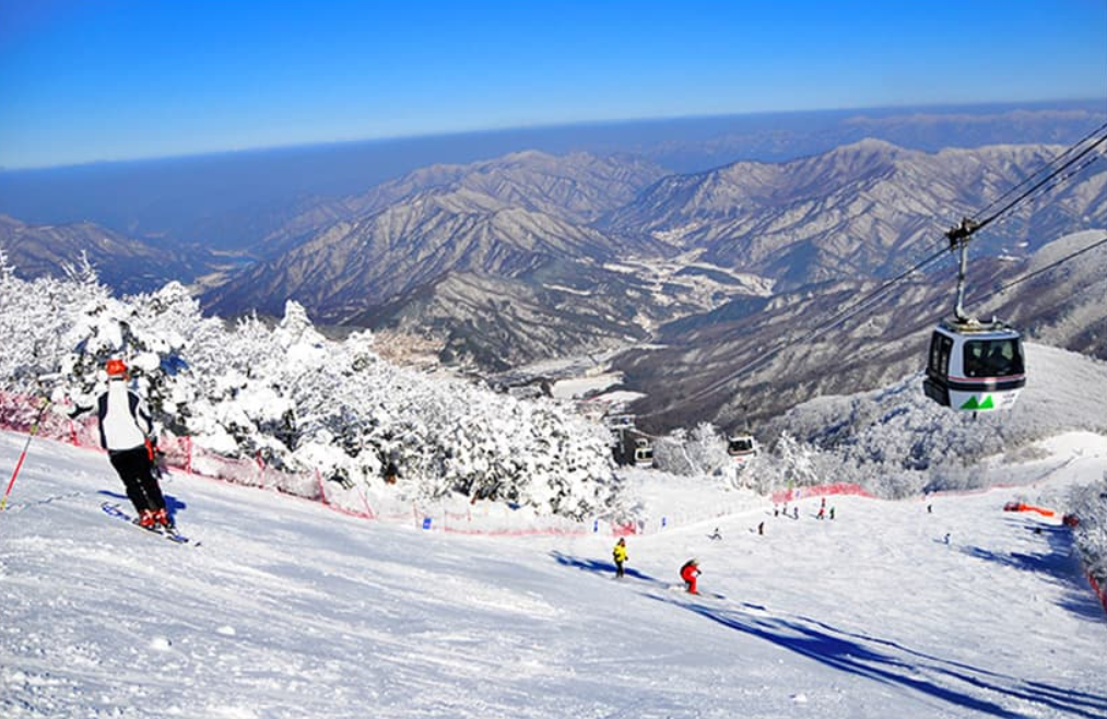 activity_detail_image