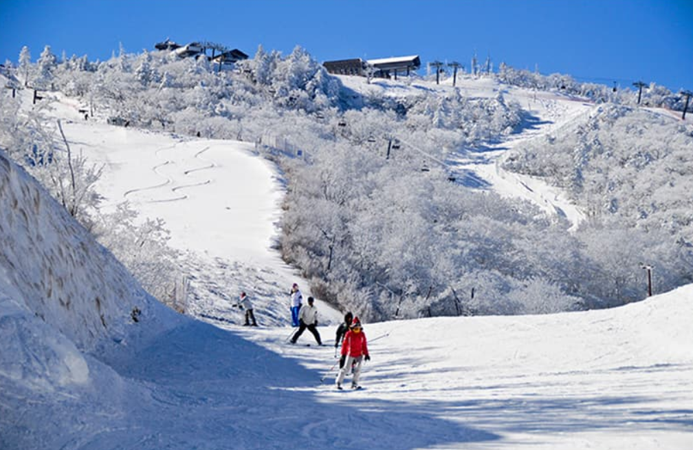 activity_detail_image