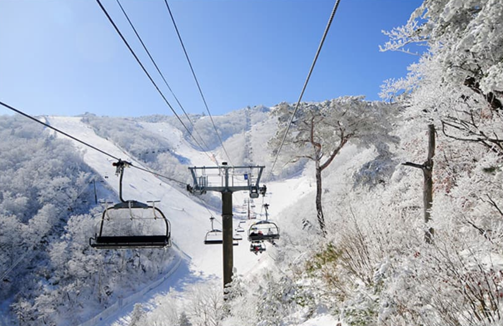 activity_detail_image