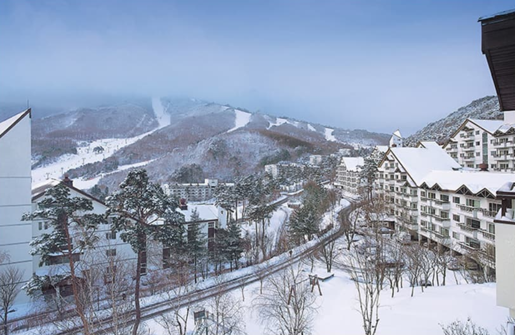 activity_detail_image