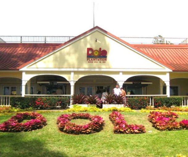 activity_detail_image