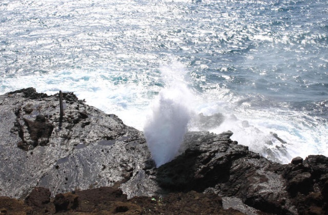 하와이 오아후 섬 일일 투어 (와이켈레 쇼핑 코스 포함)