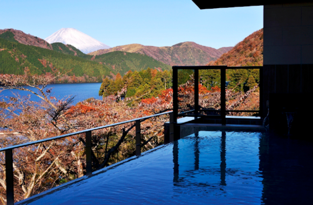 가나가와 하노네 더 프린스 호텔 천연 온천 입장권