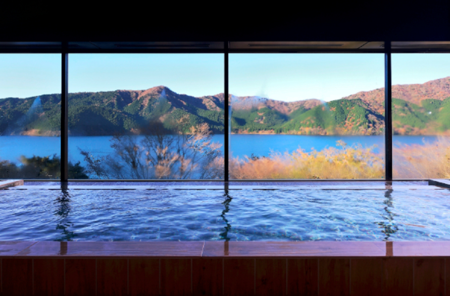 가나가와 하노네 더 프린스 호텔 천연 온천 입장권