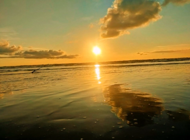 코타키나발루 원데이 나나문 반딧불 & 선셋 투어