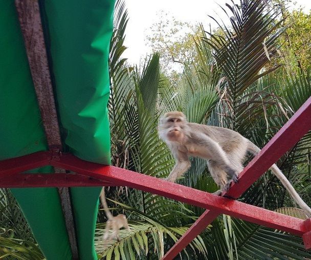 activity_detail_image