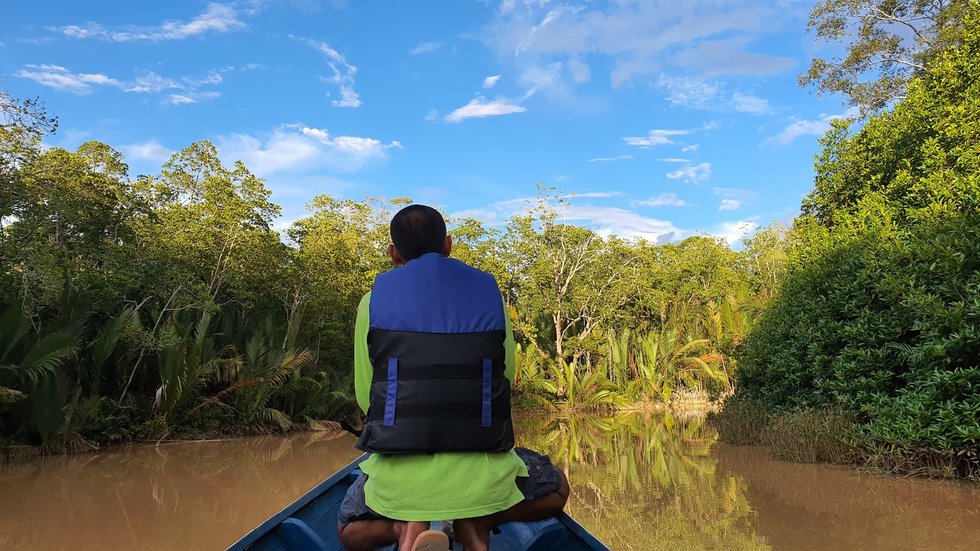 코타키나발루 뚜아이 반딧불 일일 투어 (출국 PKG)