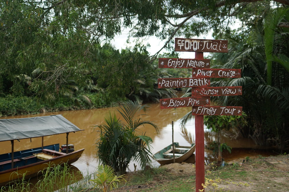 코타키나발루 뚜아이 반딧불 일일 투어 (출국 PKG)
