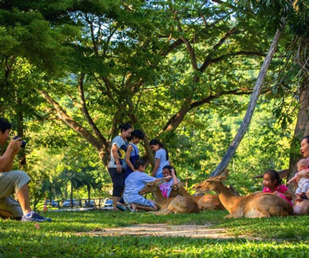 activity_detail_image