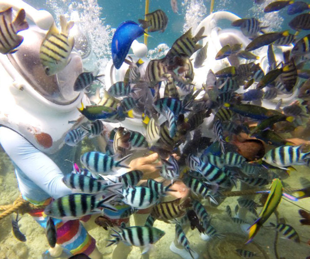 activity_detail_image