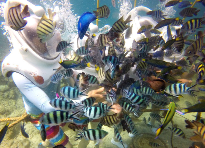 Kota Kinabalu: Sapi Island Hopping Tour & Sea Walking