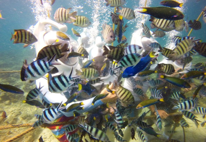 Kota Kinabalu: Sapi Island Hopping Tour & Sea Walking