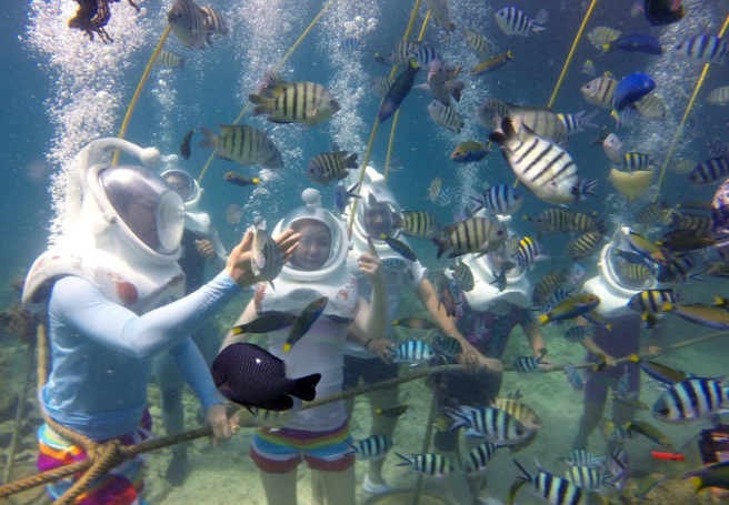Kota Kinabalu Island Hopping Tour *Kota Aqua Pack - Sea Walking + Snorkeling + Island Tour + Lunch + Pickup/Drop-off