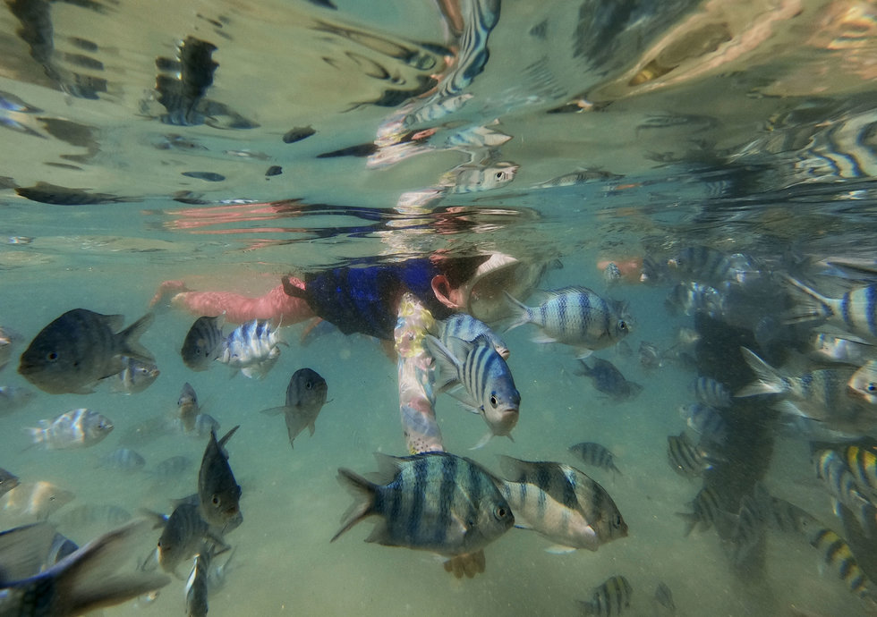 Kota Kinabalu: Sapi Island Hopping Tour & Water Sports