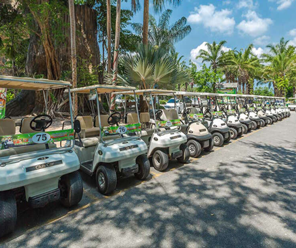 activity_detail_image