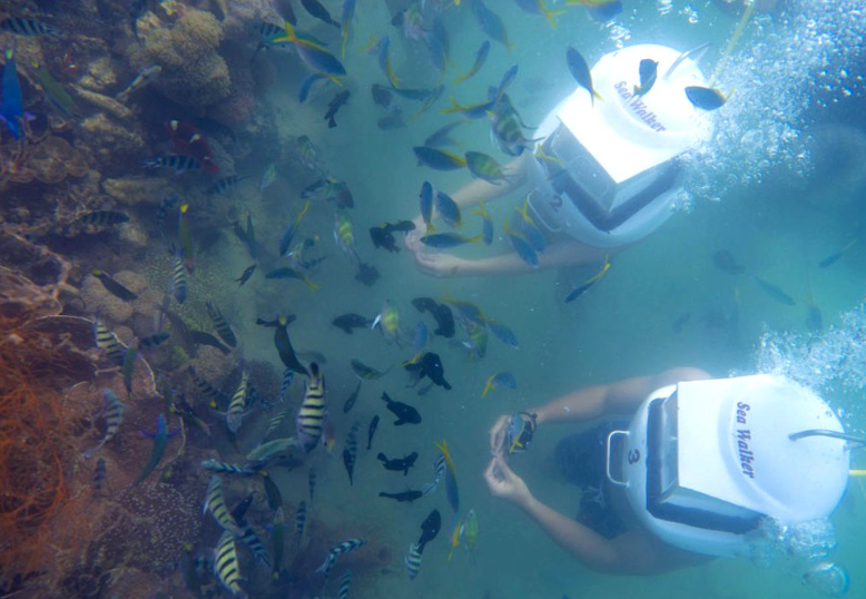 Kota Kinabalu: Sapi Island Hopping Tour & Sea Walking Package