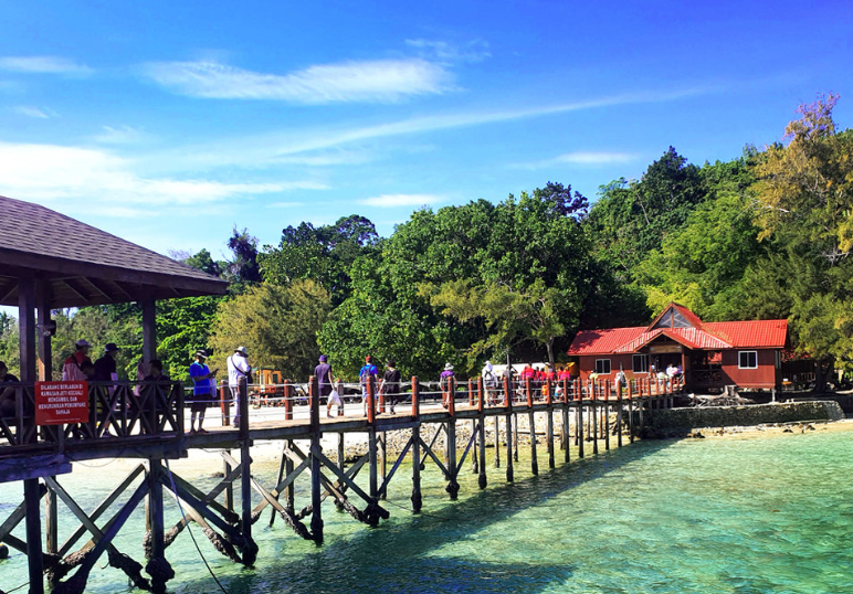 Kota Kinabalu: Sapi Island Hopping Tour & Sea Walking Package