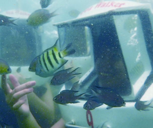 activity_detail_image