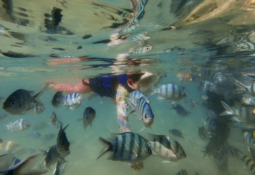 Kota Kinabalu: Sapi Island Hopping Tour & Parasailing