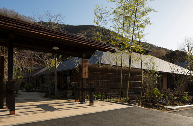 activity_detail_image