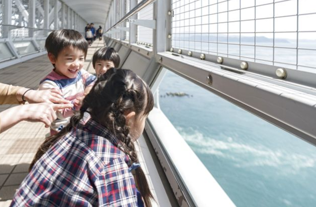 토쿠시마 나루토 공원 소용돌이길 + 오오 나루토 가교 기념관 에디 입장권
