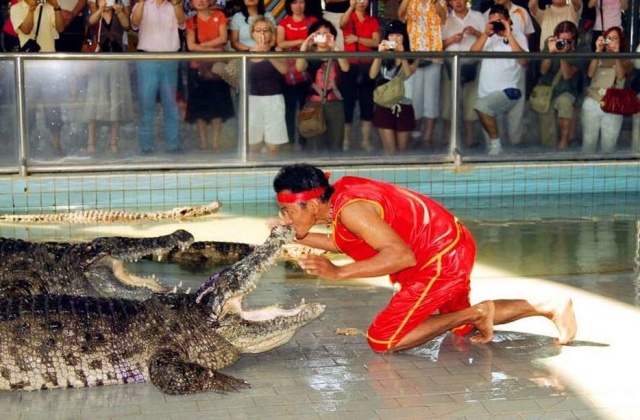 パタヤ・ワニファーム＆フローティングカフェエクスクルーシブツアー