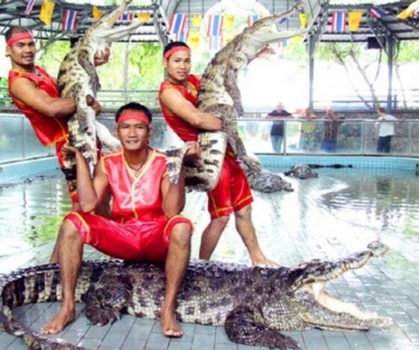 activity_detail_image