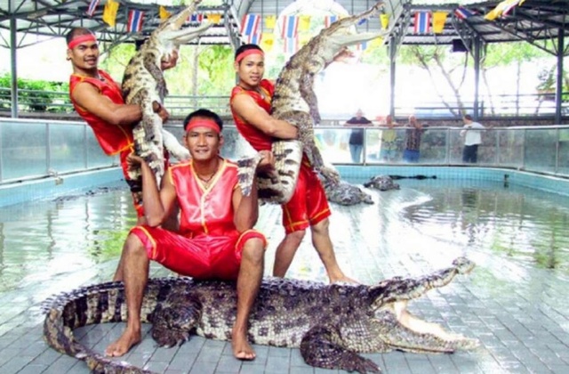 パタヤ・ワニファーム＆フローティングカフェエクスクルーシブツアー