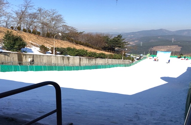 activity_detail_image