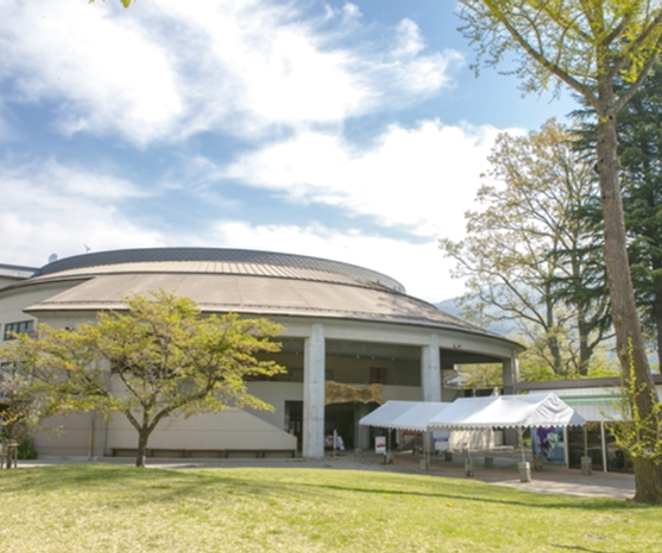 activity_detail_image