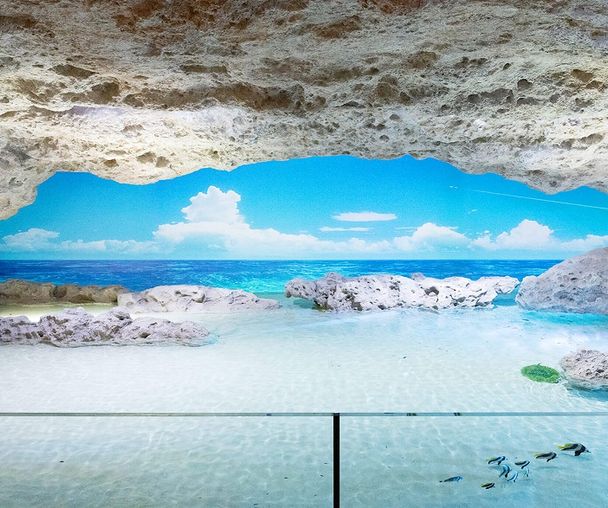 activity_detail_image