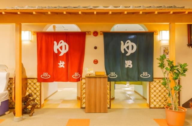 이시카와 긴조 모토유 온천 입장권