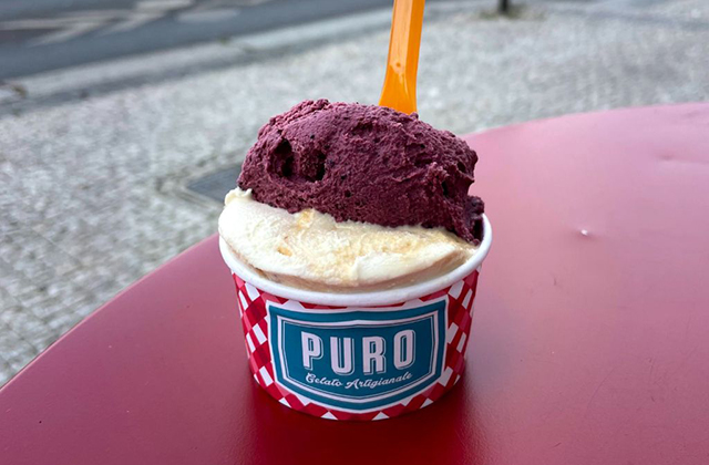 프라하 지식과 미식이 있는 트램 & 워킹 단독투어 (숨겨진 맛집과 인생 사진)