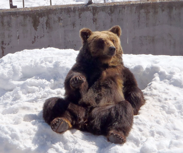 activity_detail_image