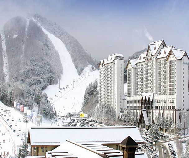 activity_detail_image