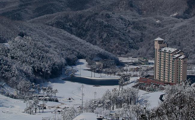 [단독특가 / 01.12~01.15] 강원 원주 오크밸리 쿠키런 스위트랜드 눈썰매장 이용권