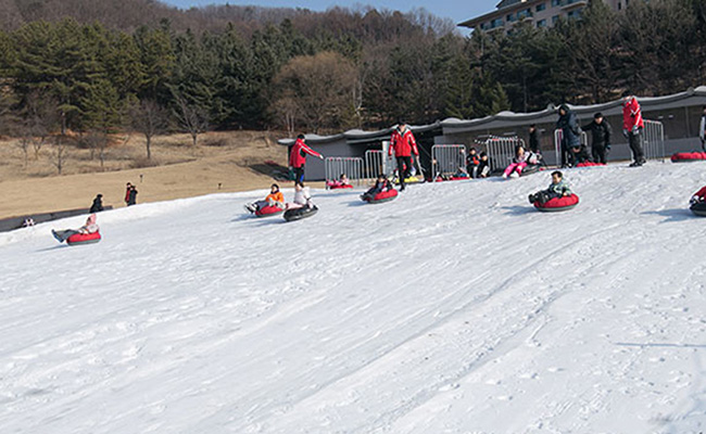 [단독특가 / 01.12~01.15] 강원 원주 오크밸리 쿠키런 스위트랜드 눈썰매장 이용권