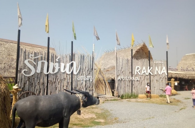 아유타야 반일 단독 투어 (방콕 픽업/샌딩 포함)